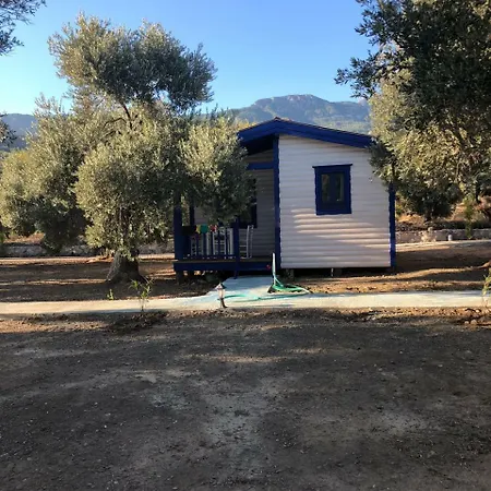 Zeytinli Bahce Bungalov לינה וארוחת בוקר *