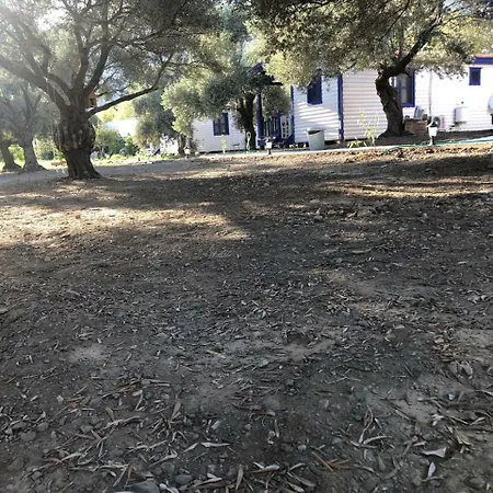 Zeytinli Bahce Bungalov לינה וארוחת בוקר מוגלה