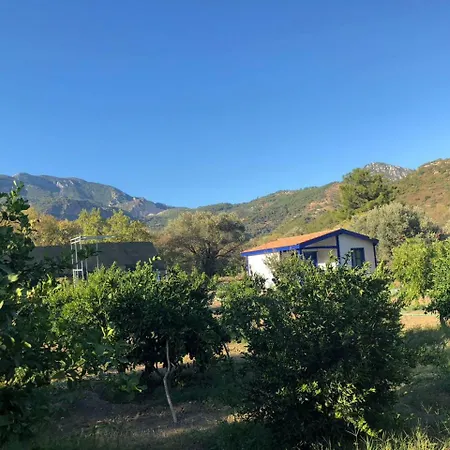 לינה וארוחת בוקר Zeytinli Bahce Bungalov