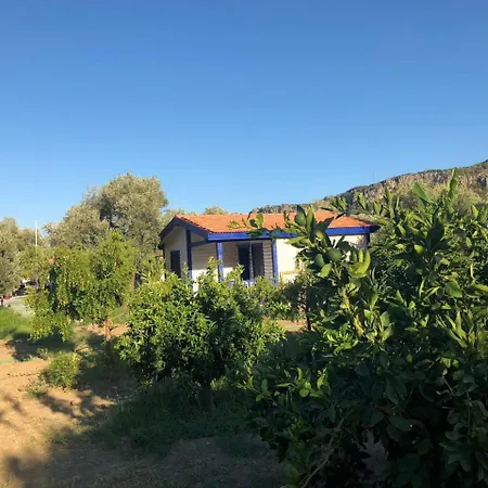 Zeytinli Bahce Bungalov ベッド・アンド・ブレックファスト